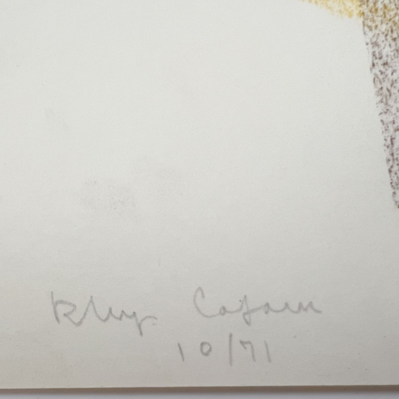 Rhys Caparn - Untitled (colorful drawings)
