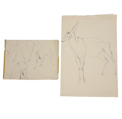 Image for Lot Rhys Caparn - Untitled (deer sketches)