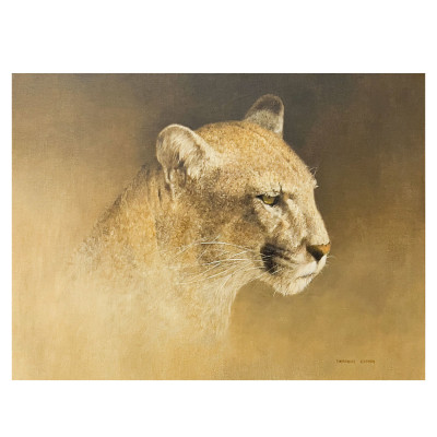Image for Lot Enrique Castro - Cougar (Felis concolor)