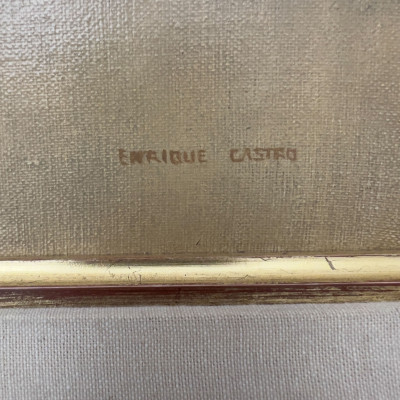 Enrique Castro - Cougar (Felis concolor)