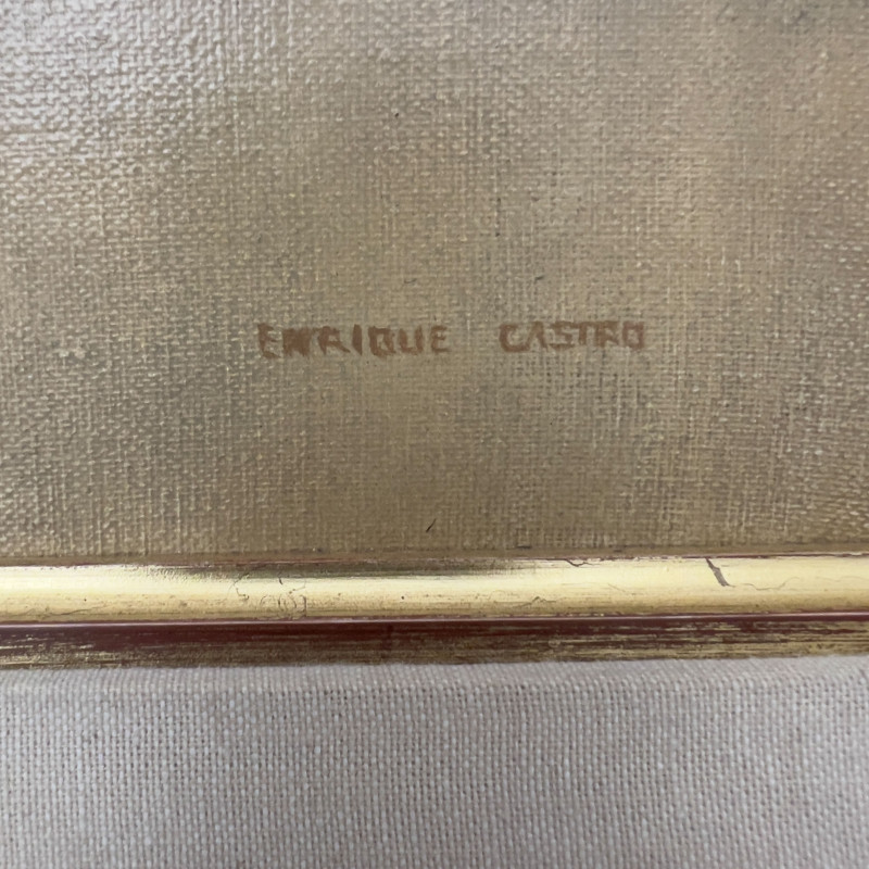 Enrique Castro - Cougar (Felis concolor)